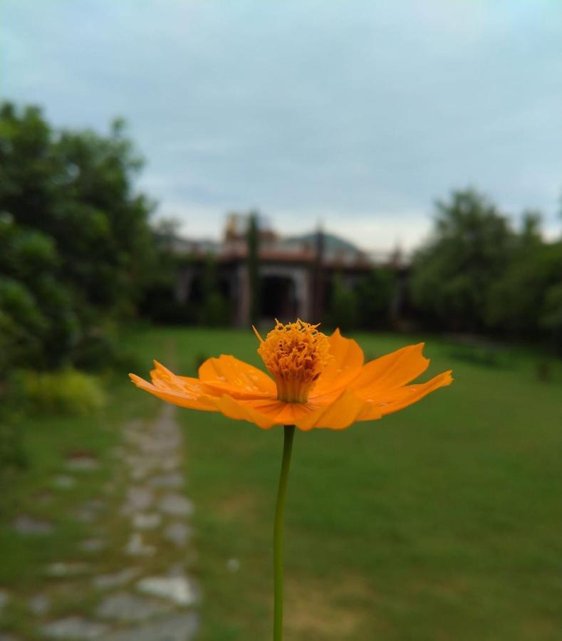 Pushkar Vela Resort 외부 사진